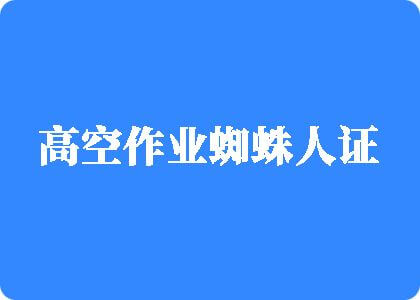 男操妇女一级啪視屏視屏高空作业蜘蛛人证